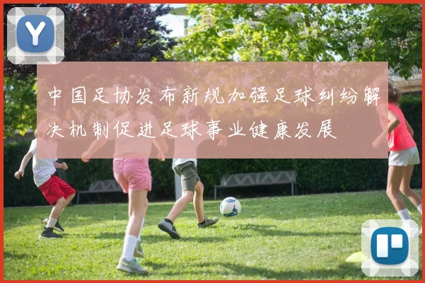 中国足协发布新规加强足球纠纷解决机制促进足球事业健康发展