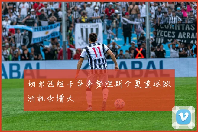 切尔西纽卡争夺努涅斯今夏重返欧洲机会增大