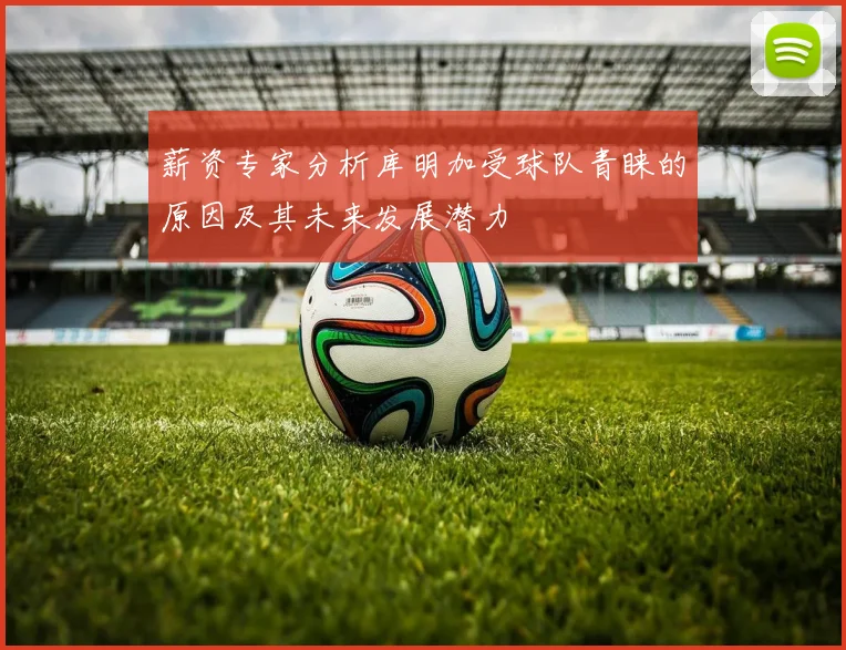 薪资专家分析库明加受球队青睐的原因及其未来发展潜力