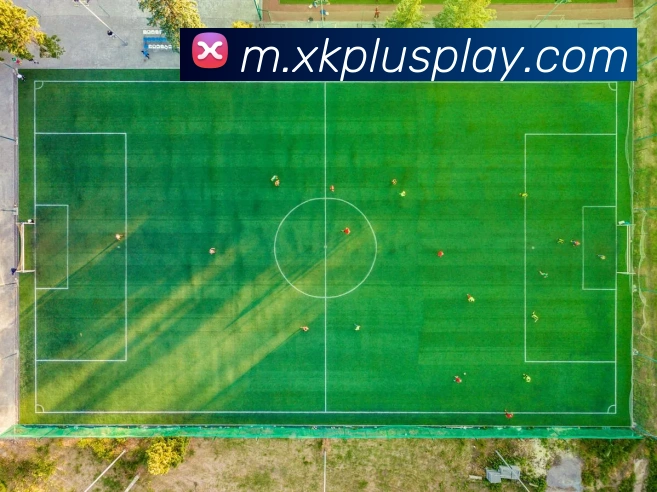 星空体育平台生态图